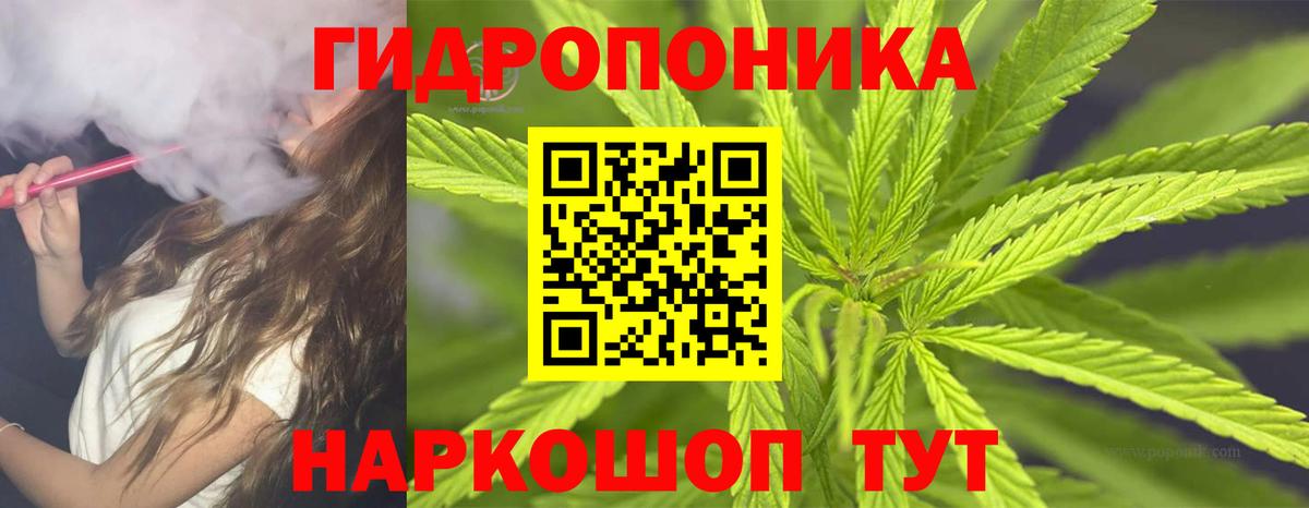 Марихуана Ganja  Шишки марихуана гибрид  Южноуральск  Вход с VPN  Каннабис планчик 